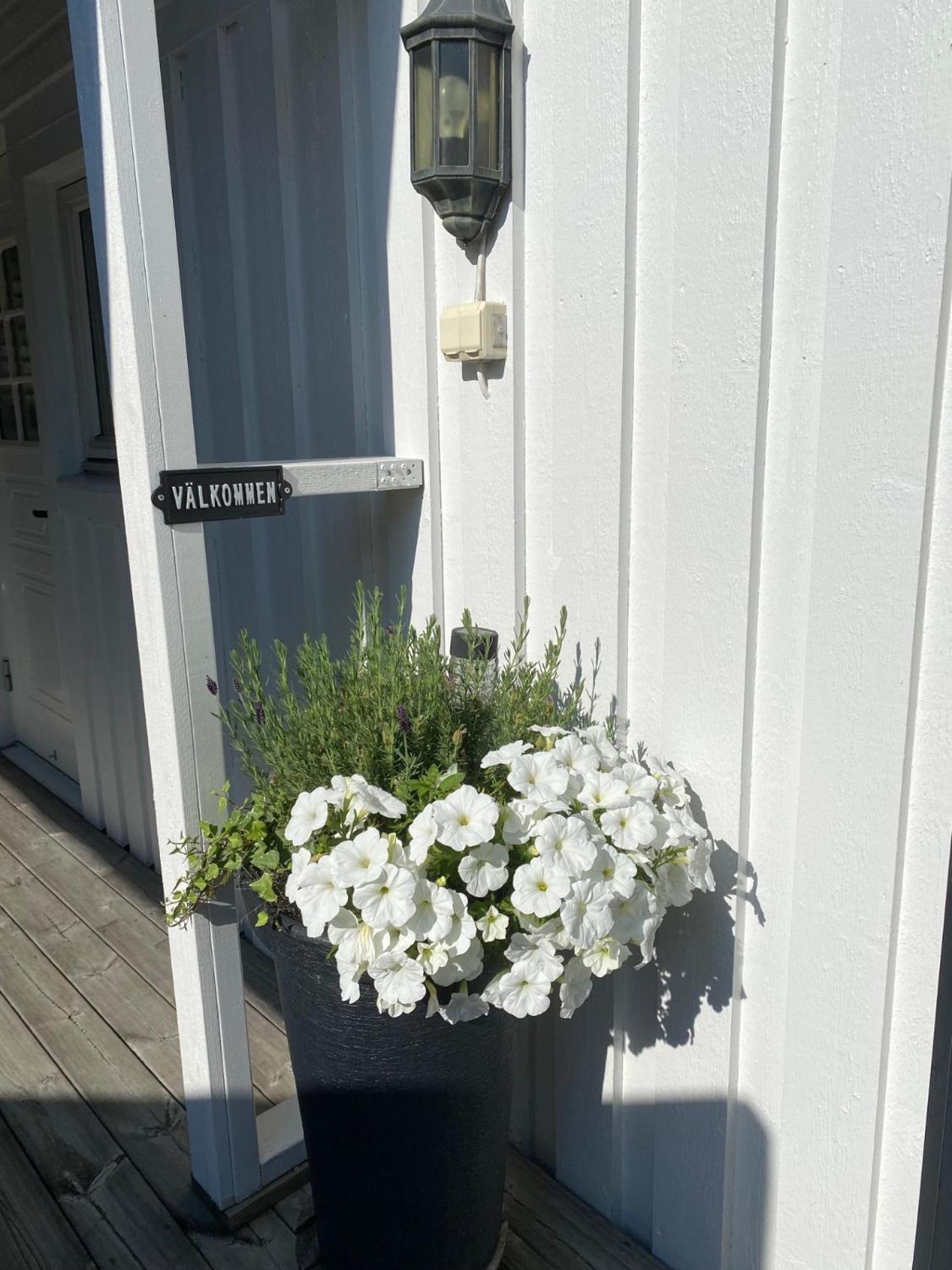 Studio 51 Oergryte Gothenburg Luaran gambar